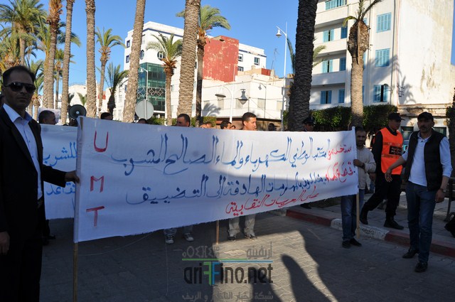 DSC_0311 (نسخ)