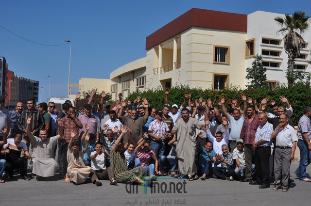 DSC_0317 (نسخ)