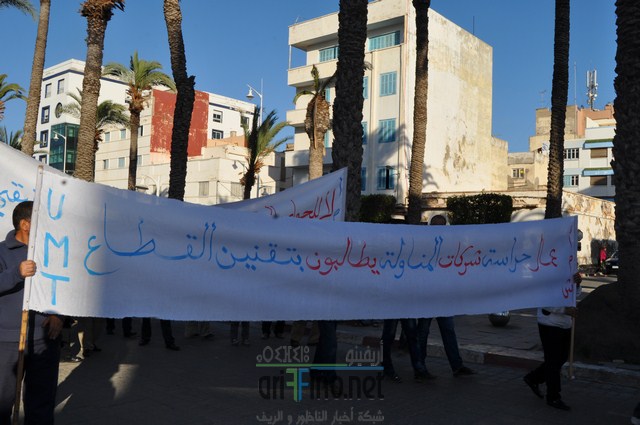 DSC_0331 (نسخ)