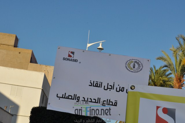 DSC_0333 (نسخ)