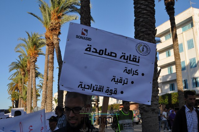 DSC_0334 (نسخ)