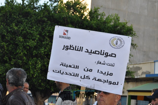 DSC_0335 (نسخ)