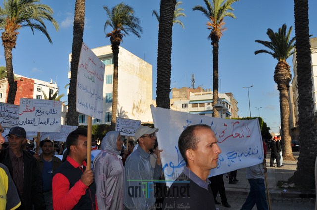 DSC_0350 (نسخ)