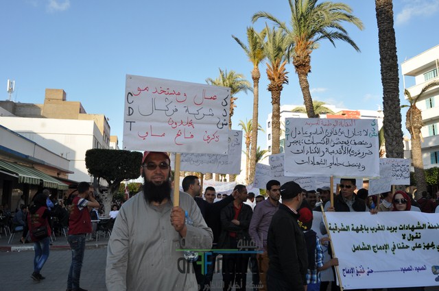 DSC_0351 (نسخ)
