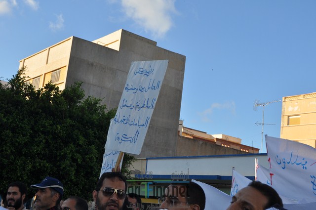 DSC_0361 (نسخ)