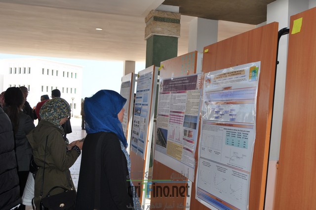 DSC_0391 (نسخ)