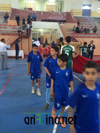 IMG_2331 (Copier)