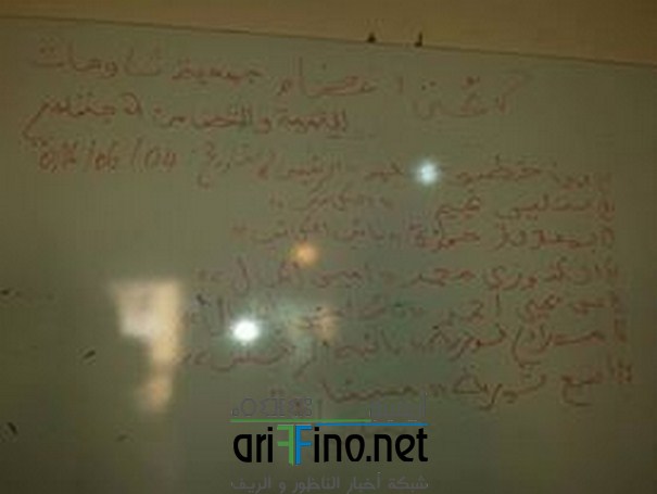 13329621_10209864534718610_87924434_n (Copier)