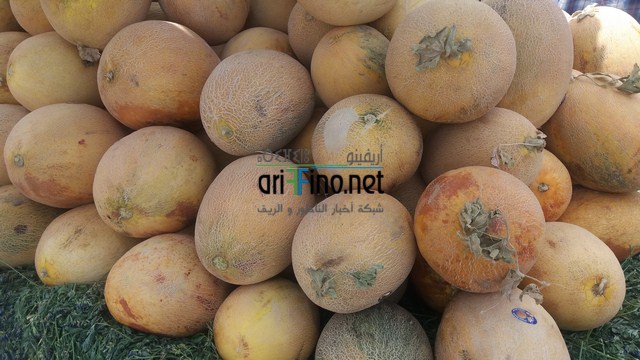 20160611_121718 (نسخ)