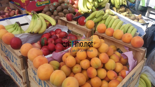20160612_151509 (نسخ)