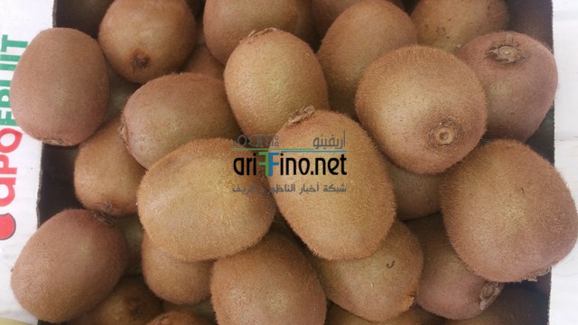 20160612_151535 (نسخ)
