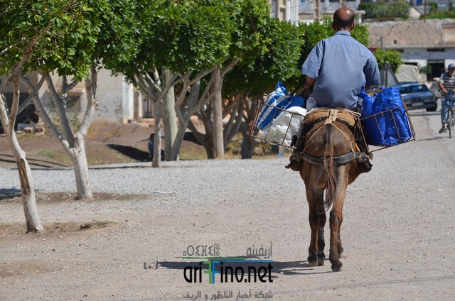 AAN_4790 (نسخ)