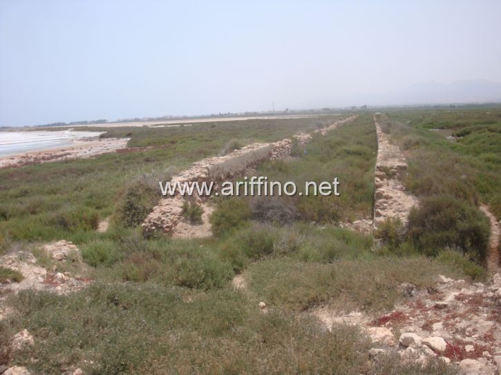 https://new.ariffino.netDSC04139DSC04139DSC04139JPGDSC04139