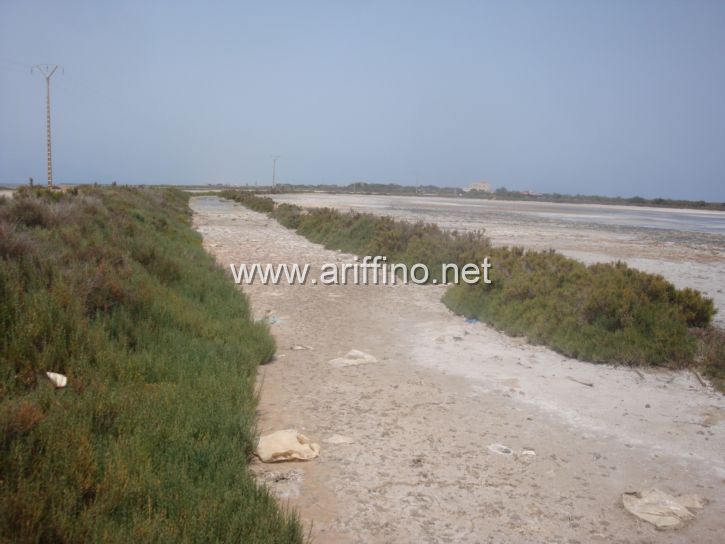 https://new.ariffino.netDSC04151DSC04151DSC04151JPGDSC04151