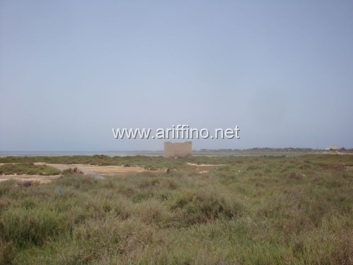 https://new.ariffino.netDSC04161DSC04161DSC04161JPGDSC04161