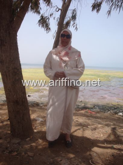 https://new.ariffino.netDSC04171DSC04171DSC04171JPGDSC04171