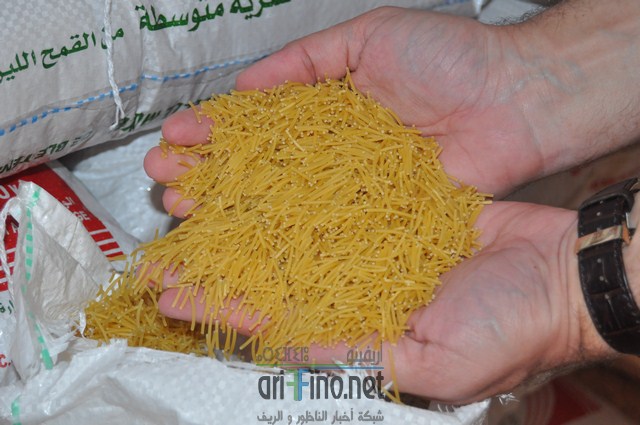 DSC_0031 (نسخ)