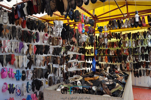 DSC_0032 (نسخ)