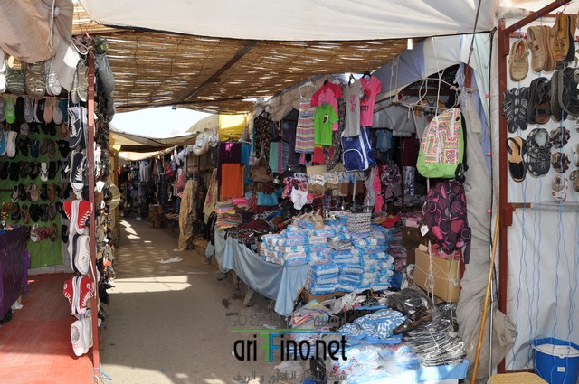 DSC_0035 (نسخ)