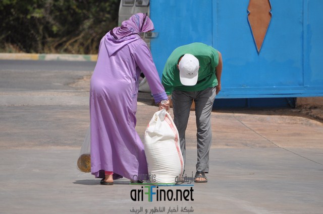 DSC_0036 (نسخ)