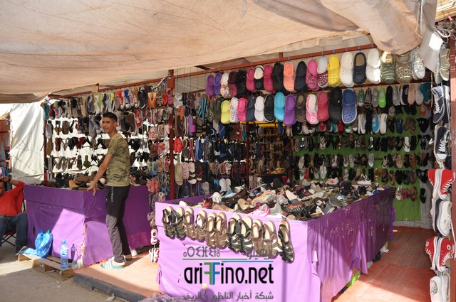 DSC_0036 (نسخ)