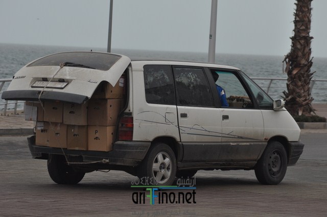 DSC_0078 (نسخ)