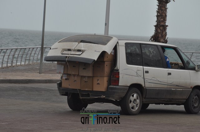 DSC_0079 (نسخ)
