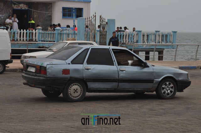 DSC_0081 (نسخ)
