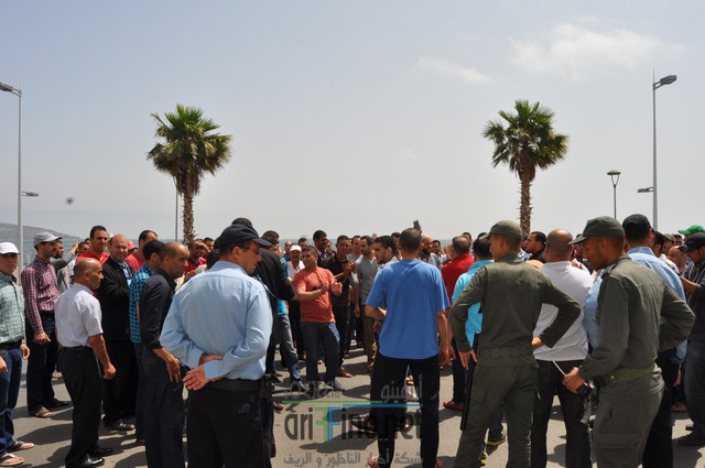 DSC_0133 (نسخ)