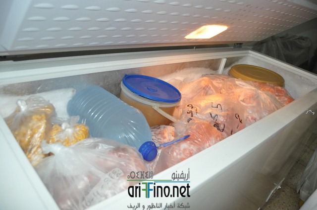 DSC_0341 (نسخ)