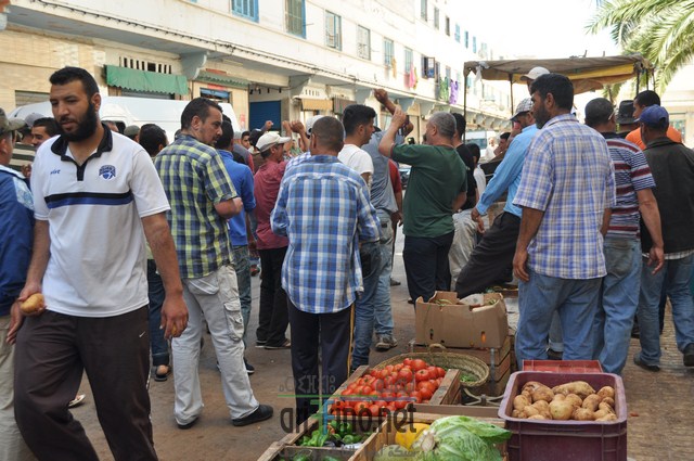 DSC_0735 (نسخ)
