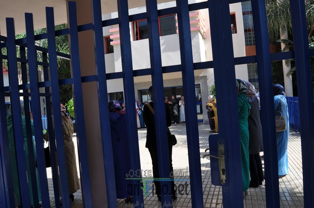 DSC_0738 (نسخ)