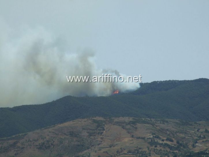 https://new.ariffino.netIMG-20160610-WA0010IMG-20160610-WA0010IMG-20160610-WA0010jpgIMG-20160610-WA0010