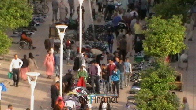 IMGA0137 (نسخ)