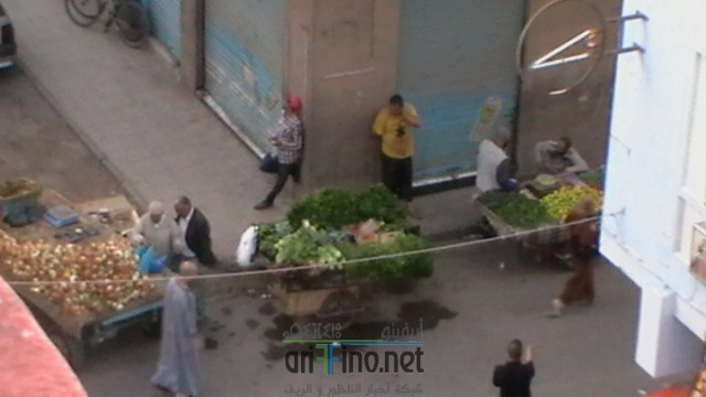 IMGA0148 (نسخ)
