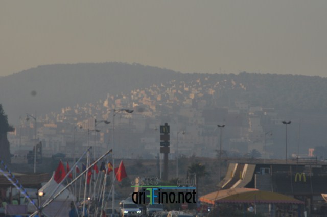 13 (نسخ)