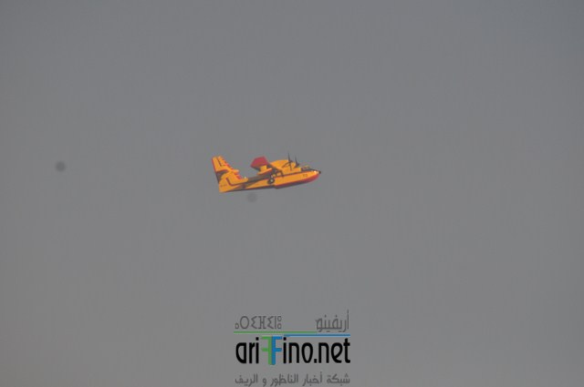 6 (نسخ)