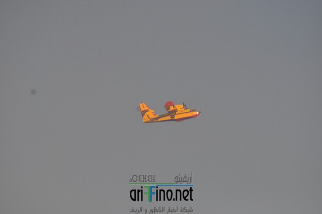 7 (نسخ)