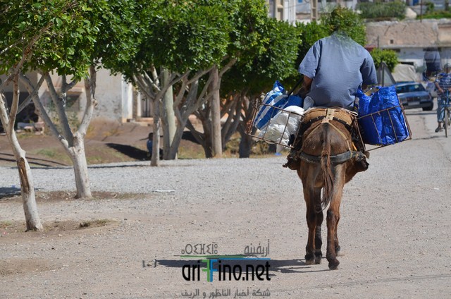 AAN_4790 (نسخ)