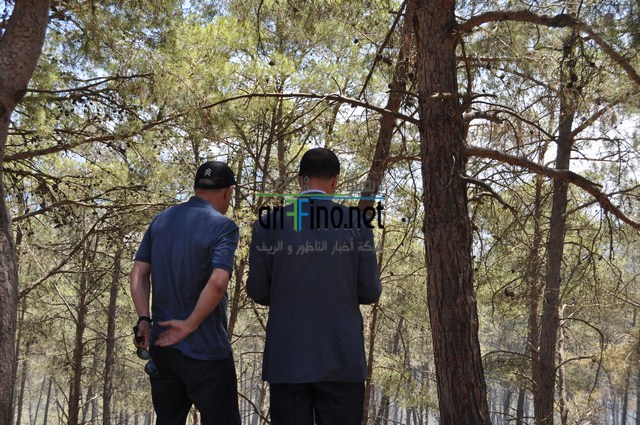 DSC_0010 (نسخ)