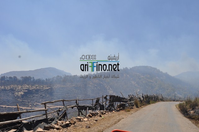 DSC_0028 (نسخ)