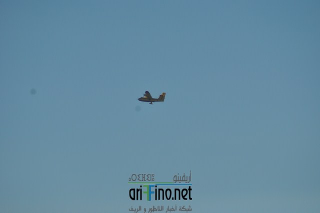DSC_0037 (نسخ)