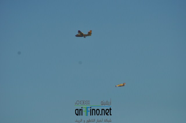 DSC_0038 (نسخ)