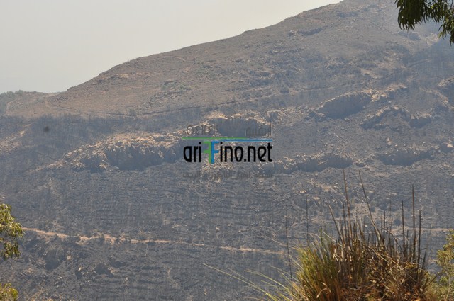 DSC_0054 (نسخ)