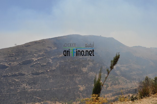 DSC_0055 (نسخ)