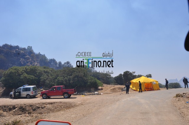 DSC_0061 (نسخ)