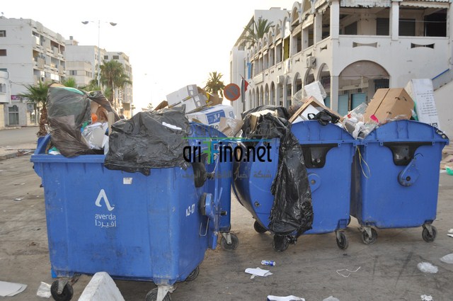 DSC_0063 (نسخ)