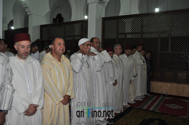 DSC_0071 (نسخ)