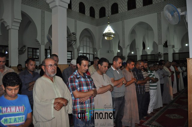 DSC_0077 (نسخ)