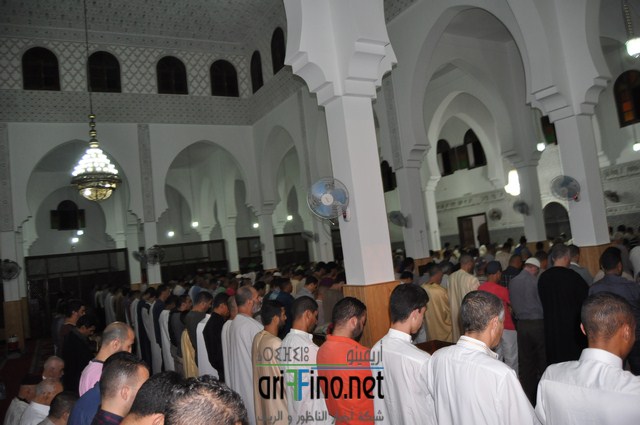 DSC_0083 (نسخ)